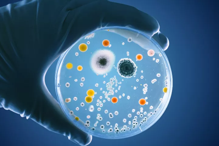 esrs studie für den chemiesektor