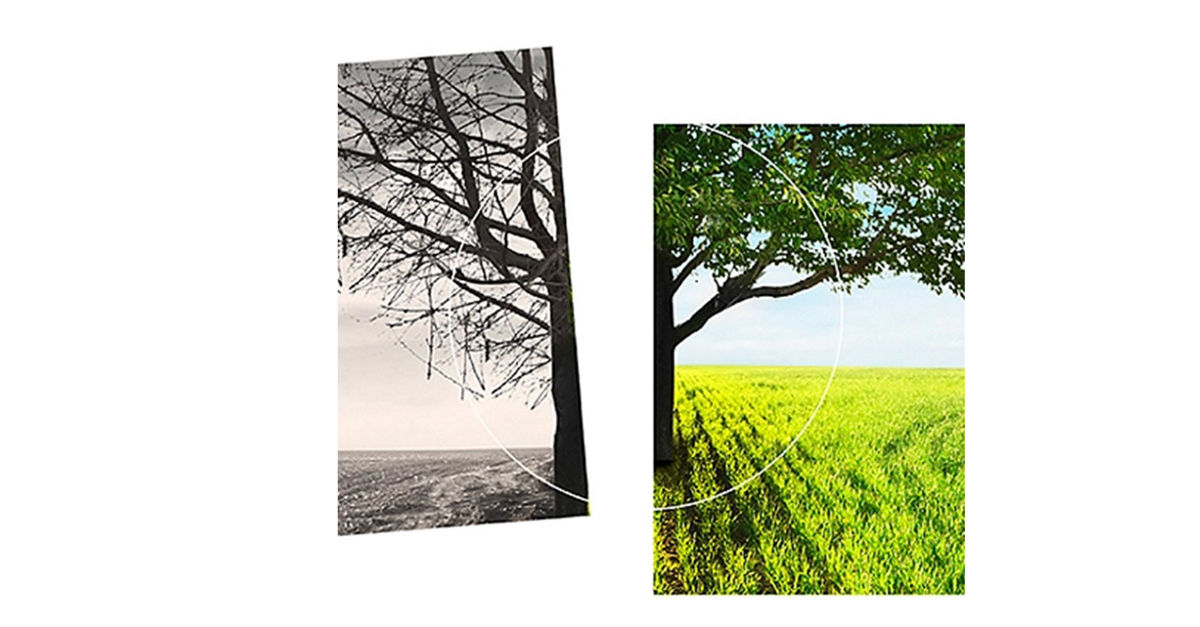 Consultores analizando datos sobre sostenibilidad y cuestiones sociales en una oficina moderna.