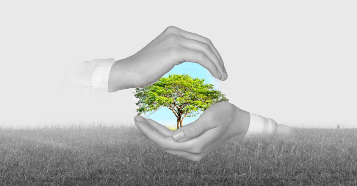 Climate-forward government