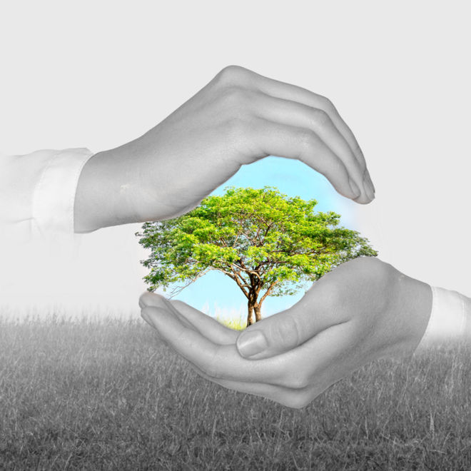 Climate-forward government