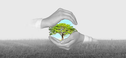 Climate-forward government