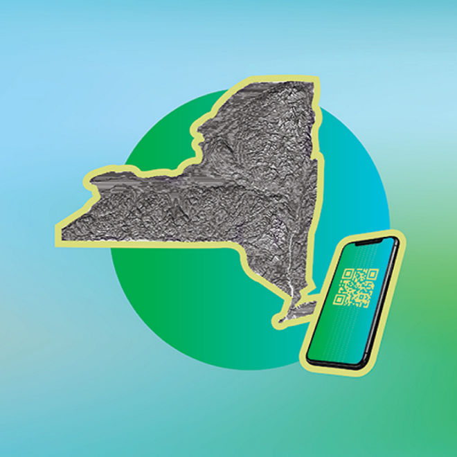 Digital credentialing app Excelsior Pass helps New York state open for business