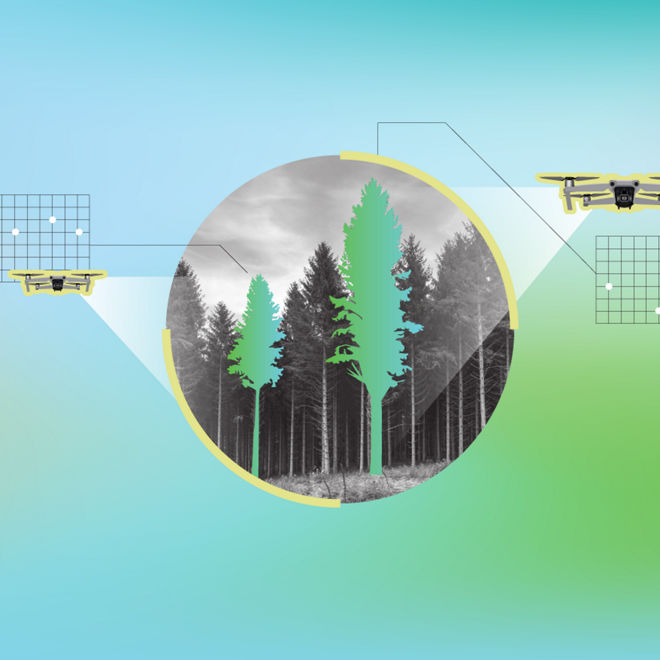 Stora Enso fosters sustainability through digital transformation