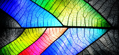 IT, amplified: AI elevates the reach (and remit) of the tech function