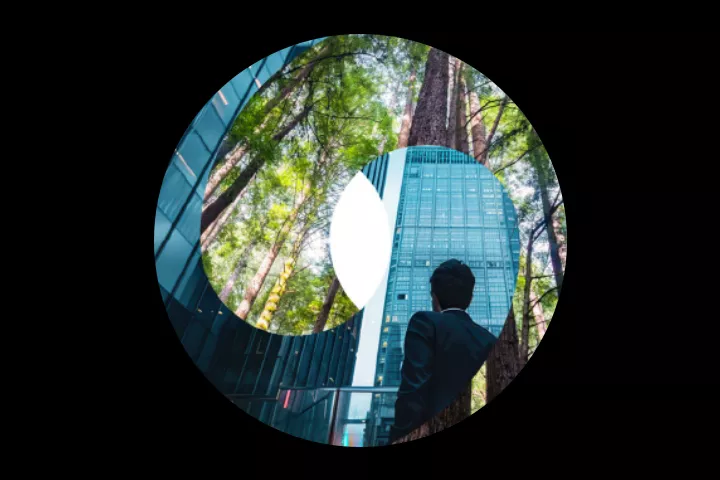 wood and building sphere