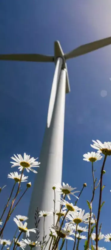 Wind turbine in a field