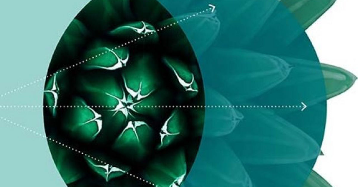 Global Marketing Trends 2022 | Deloitte Belgium
