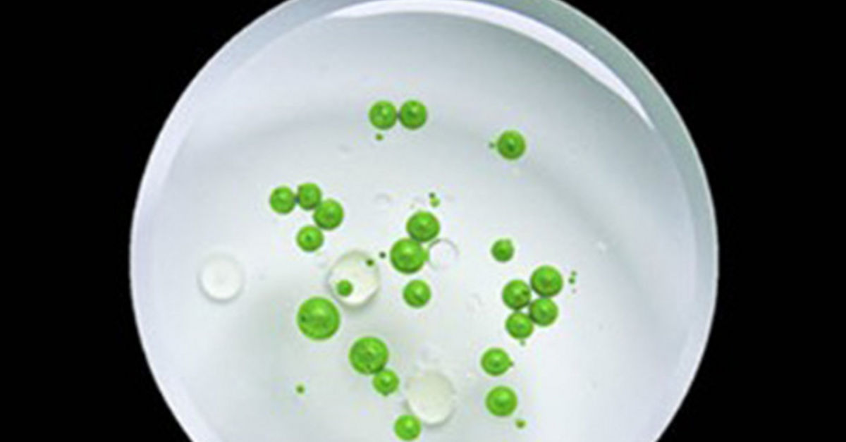 Health Human Services Deloitte Belgium Government Public Services