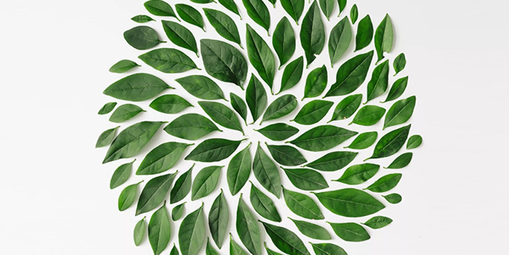 聚焦美国证券交易委员会(SEC)气候信息披露新规| 德勤中国