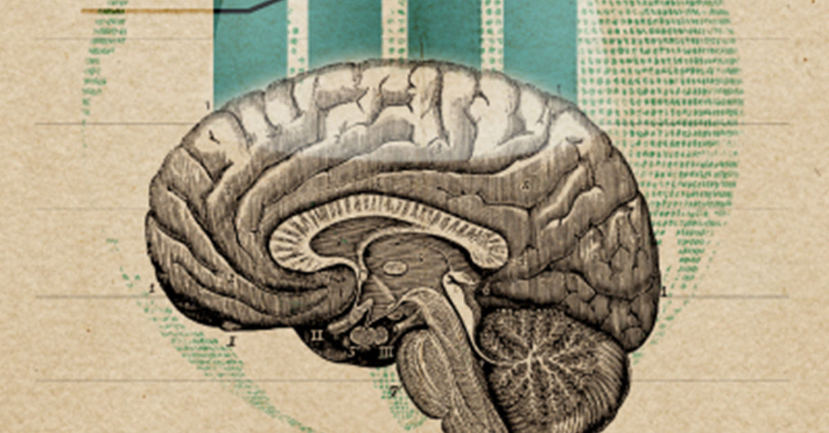 Sizing the brain | DeloitteChina