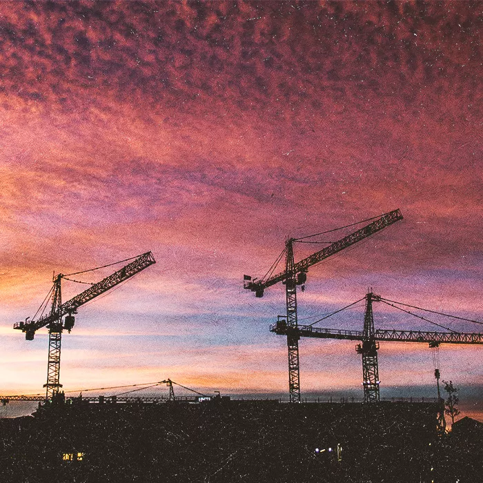 Four cranes towards a pink sunset sky