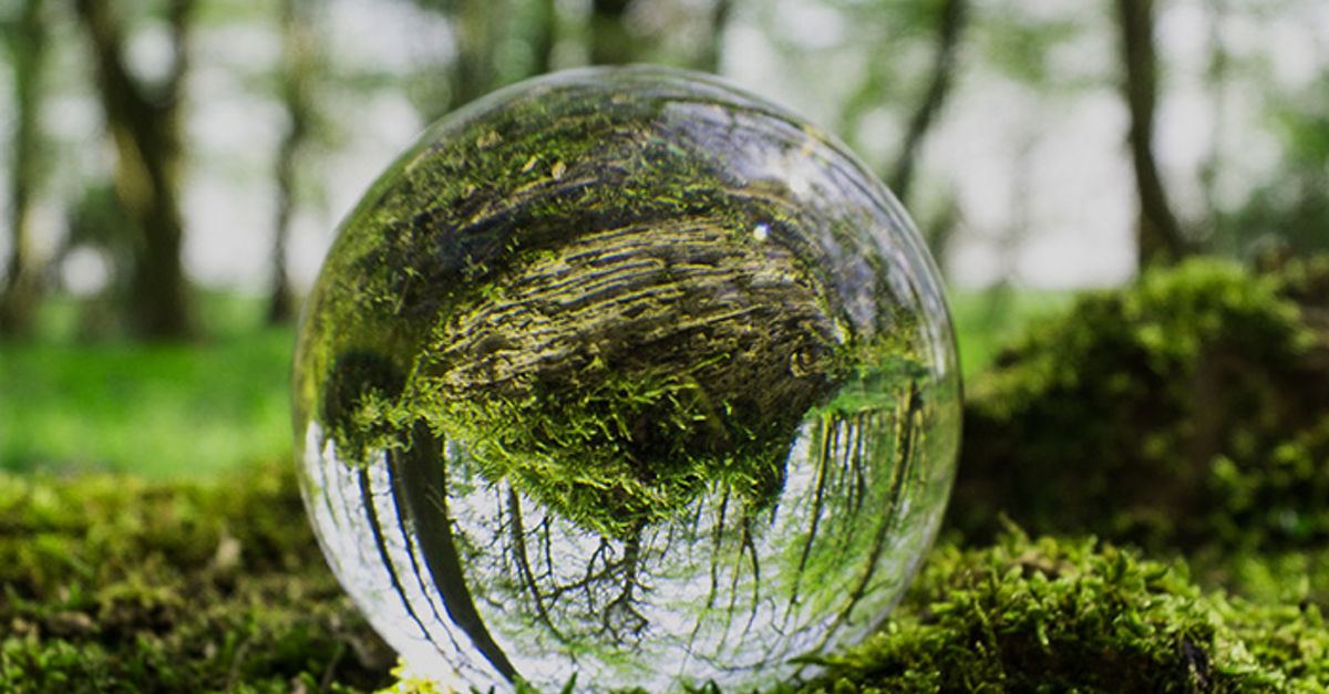 Empowering your company: Elevating your internal controls environment ...