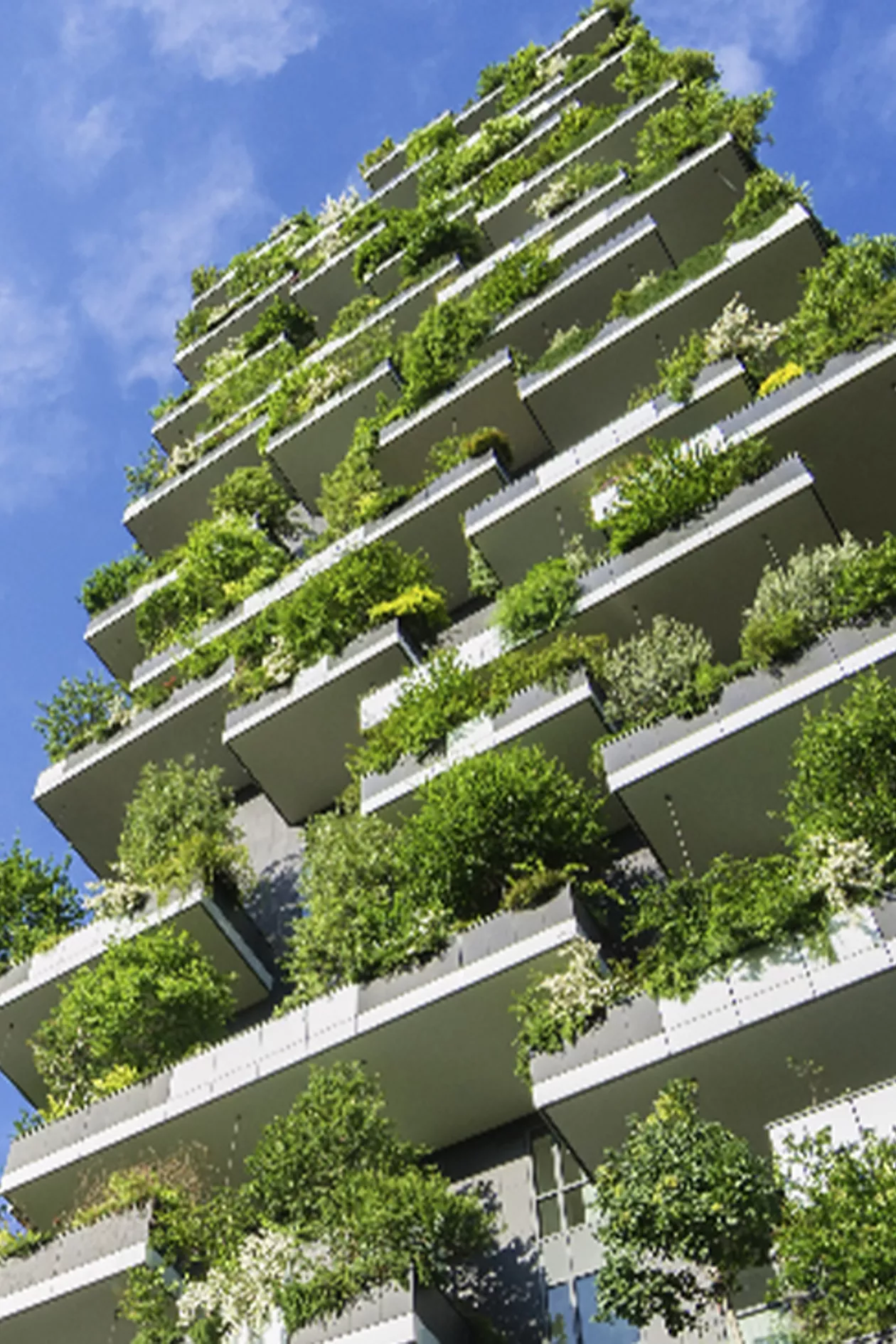 Sustainability in Industry