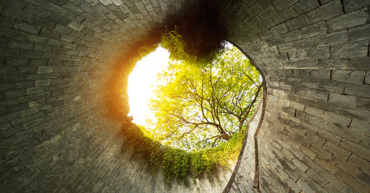 Taking the next step for nature - TNFD | Deloitte UK