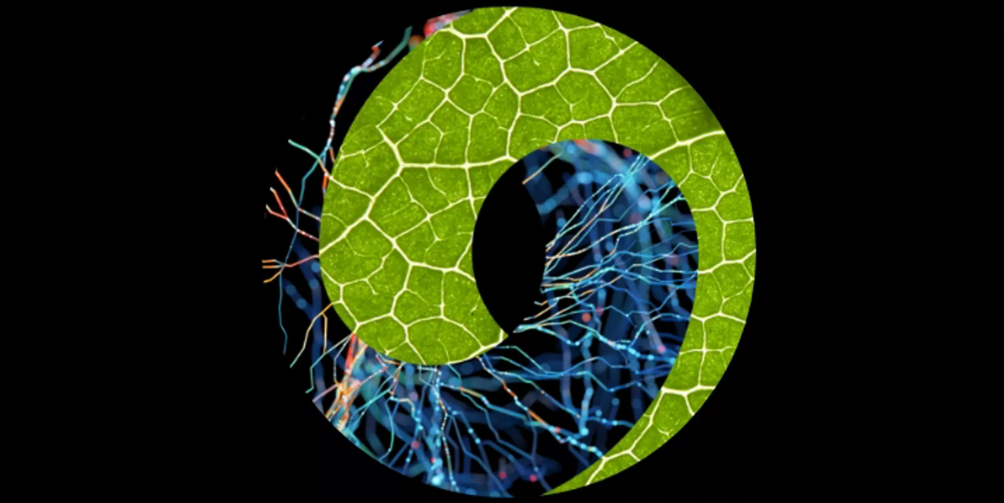 L'empreinte environnementale de l'IA – aujourd'hui et demain｜Deloitte France, image size:1969x987