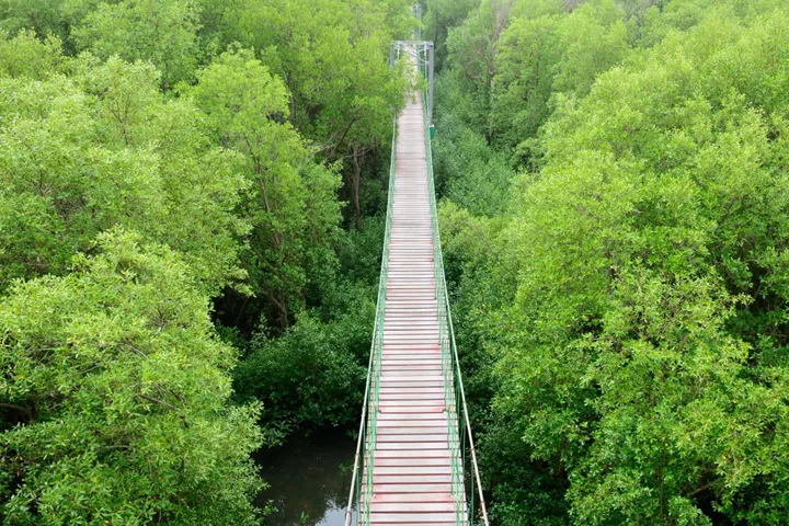 Webinar：GX実現に向けた人材市場創造と実態 