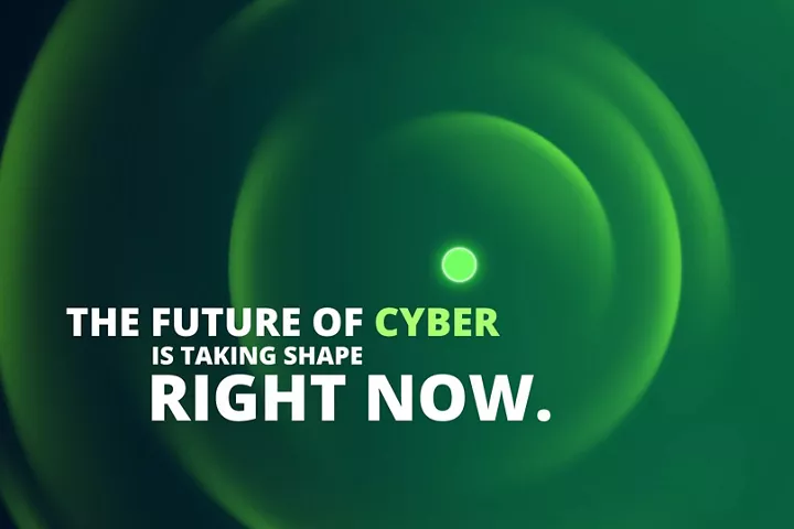 2024 Global Future of Cyber Survey