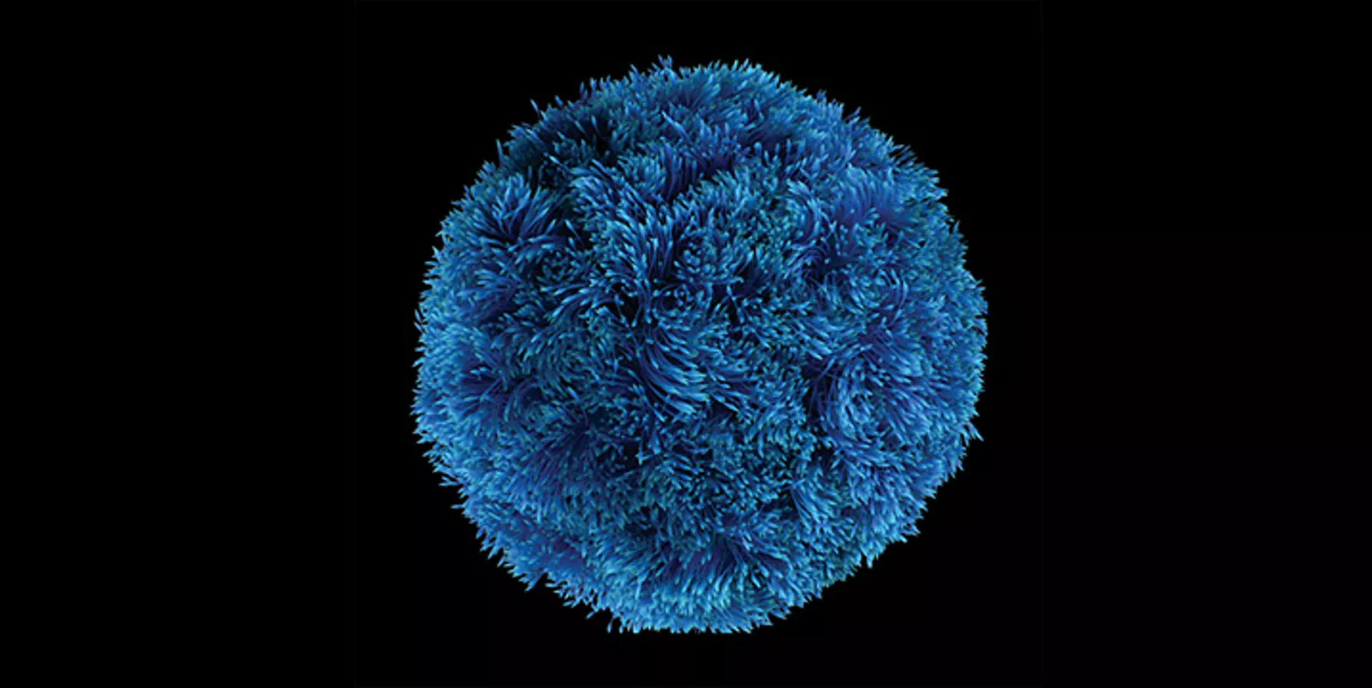 Hong Kong Risk Based Capital Guideline - Insurance market readiness survey  | Deloitte China