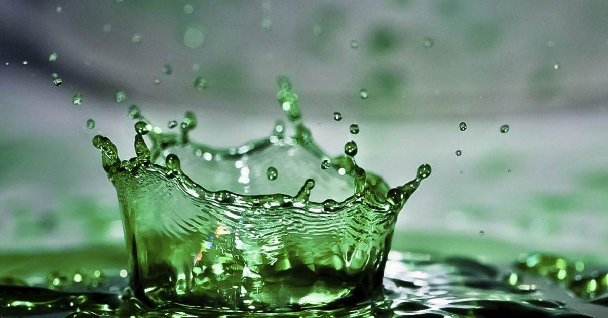 The greenwashing risk round up