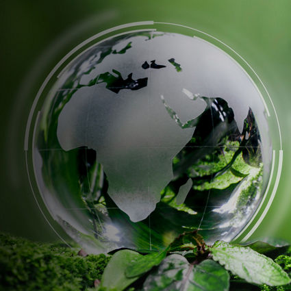 The future of the Chief Sustainability Officer