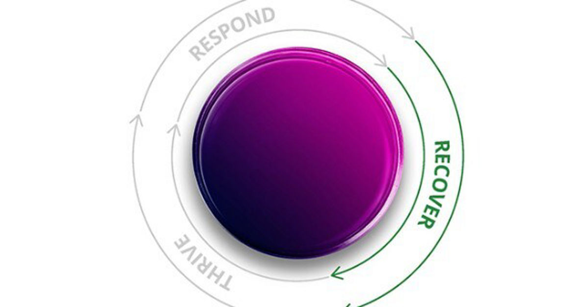Adopt “above-the-bar” regulatory / governance protocols | Deloitte Global