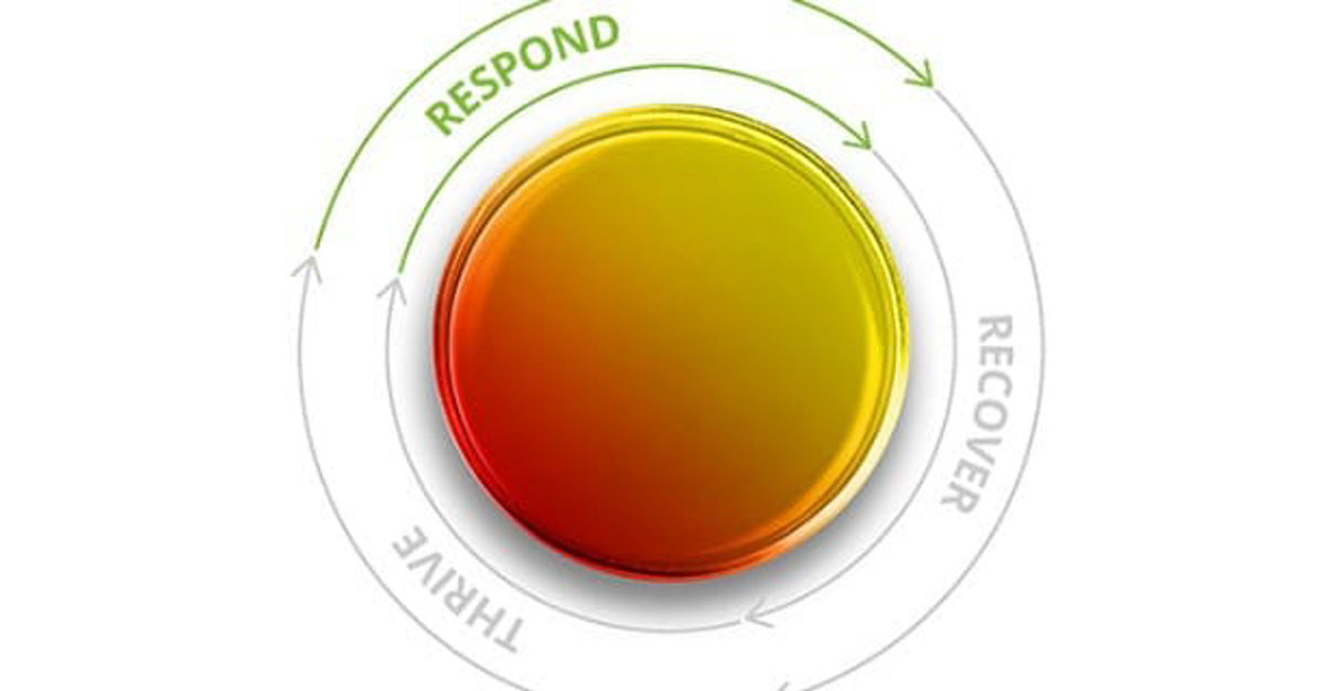 Develop real-time sensing / red flag reporting dashboard | Deloitte Global