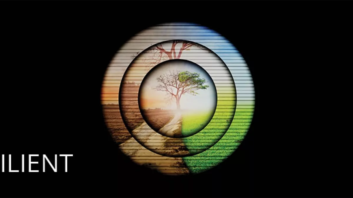 A new vision: Making connections to cultivate greater resilience | Deloitte  Global