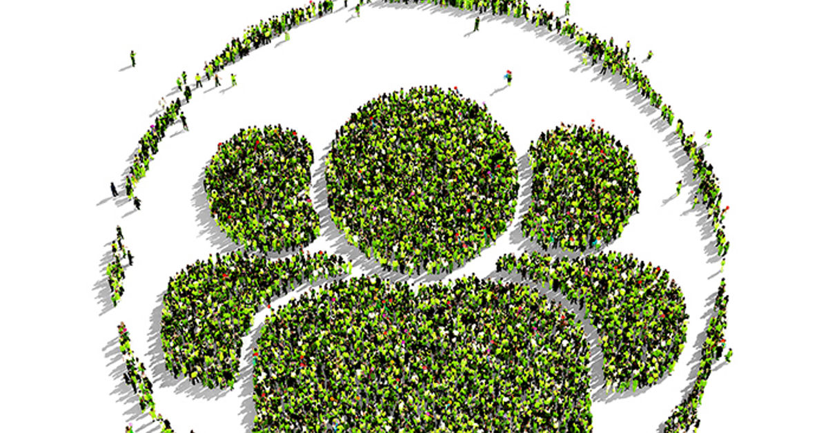 Our People | Deloitte Latvia