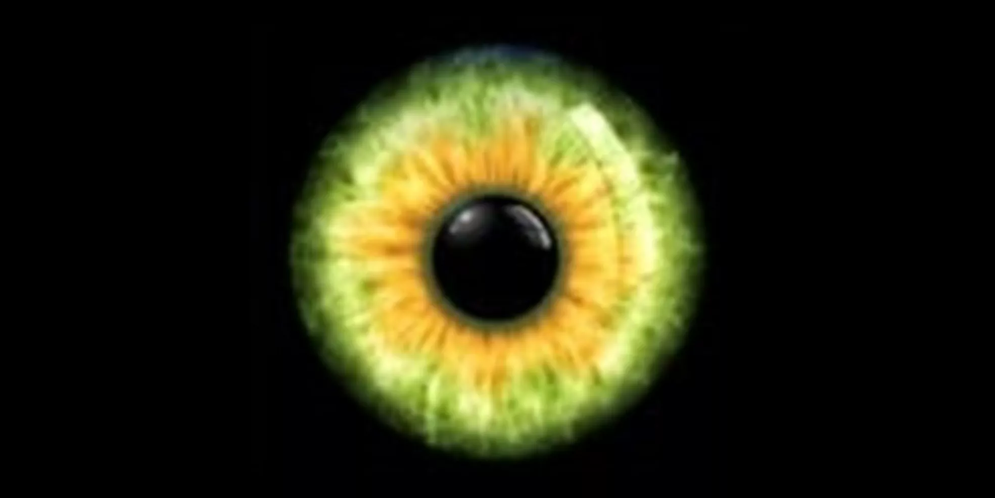 A call for transparency and responsibility in Artificial Intelligence |  Deloitte Netherlands