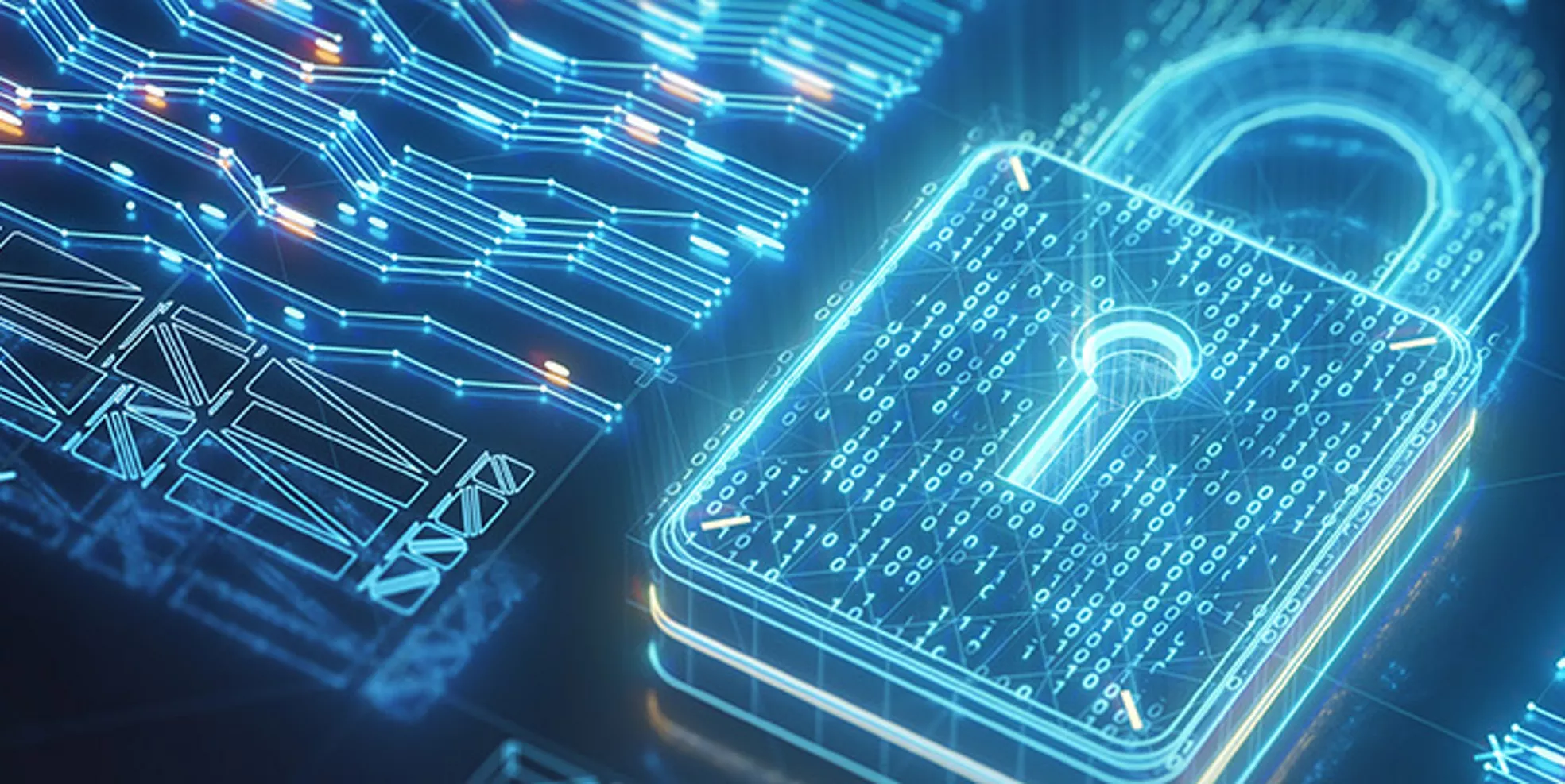 個人情報保護法〔第4版〕 個人情報保護法〔第4版〕 | 岡村 久道 |本 | 通販 | Amazon