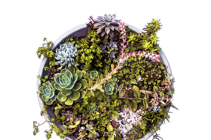 【帯付き】(第7版) 会計処理ハンドブック トーマツ Amazon.co.jp: 会計処理ハンドブック(第7版) : 有限責任監査法人