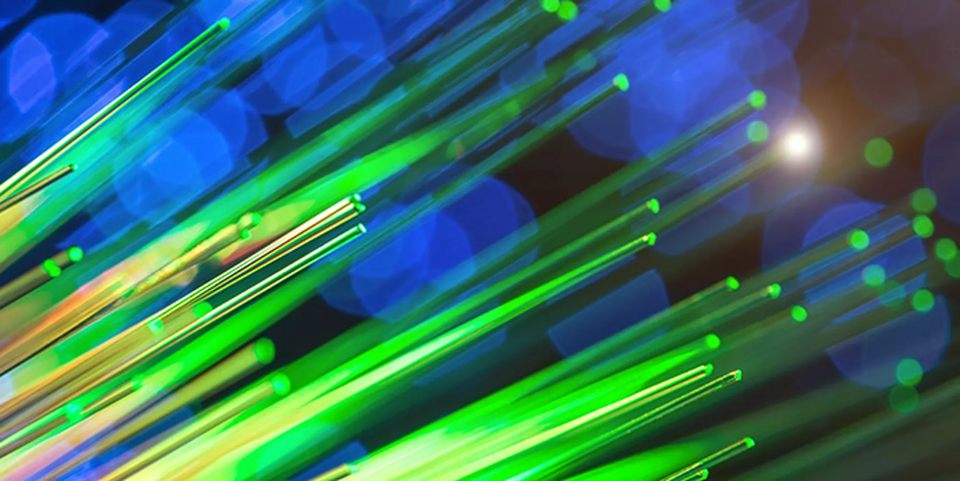 トランプ再選とハリス当選：米国の金融規制政策の行方 | デロイト トーマツ グループ