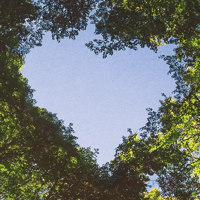Tree crowns forming a heart shape of the sky
