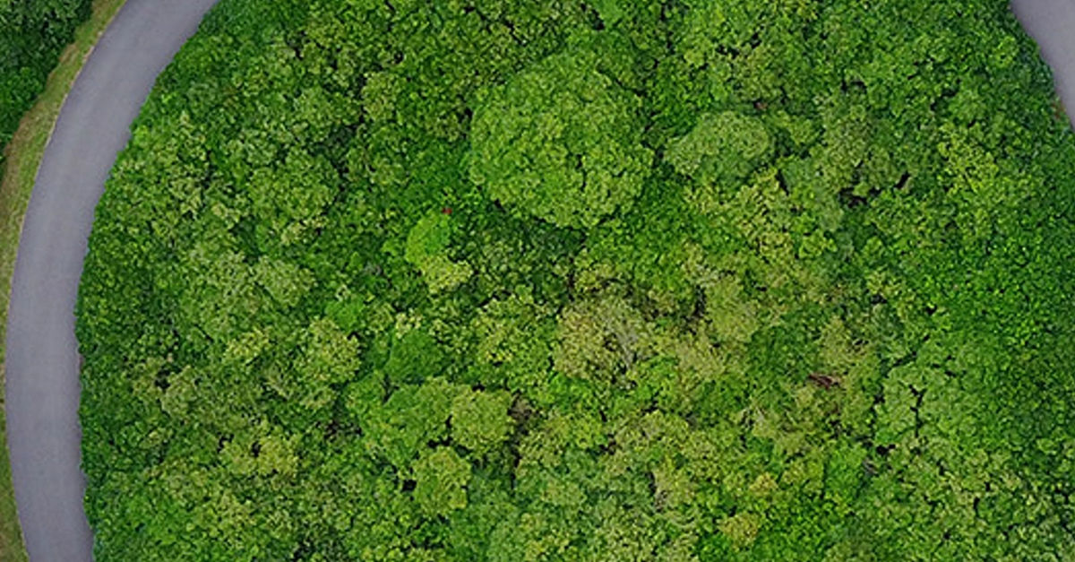 Nature matters: the risks are here and now | Deloitte UK