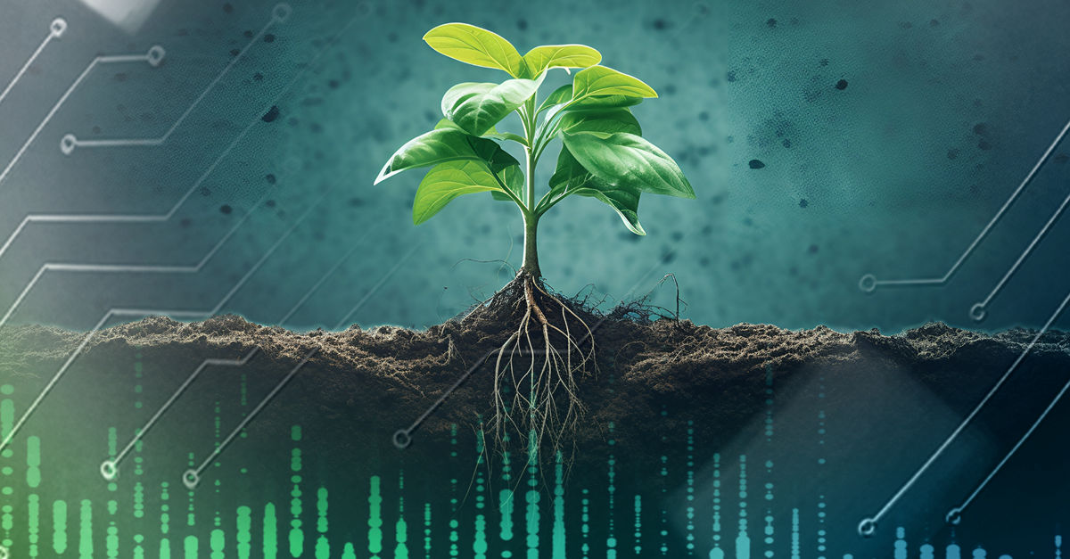 Portfolio company purchase price allocation
