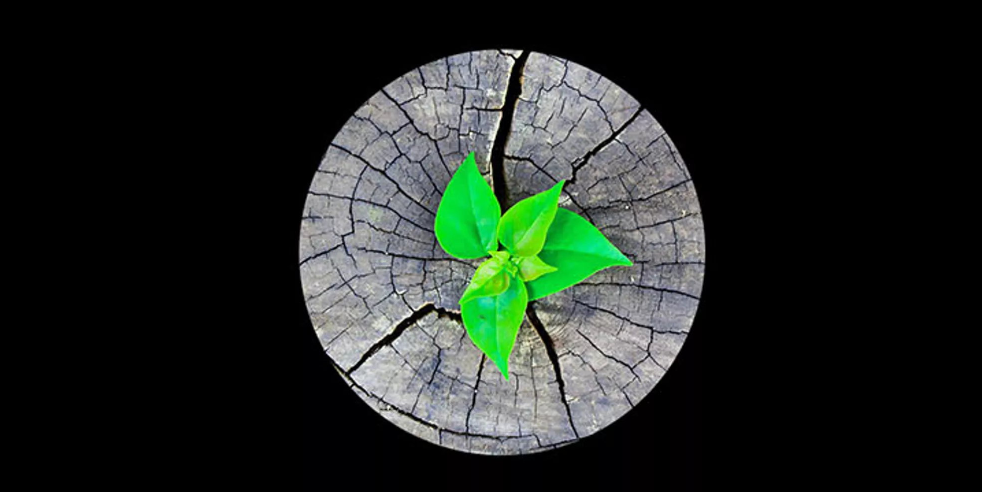 B2B Payments for the middle market | Deloitte US