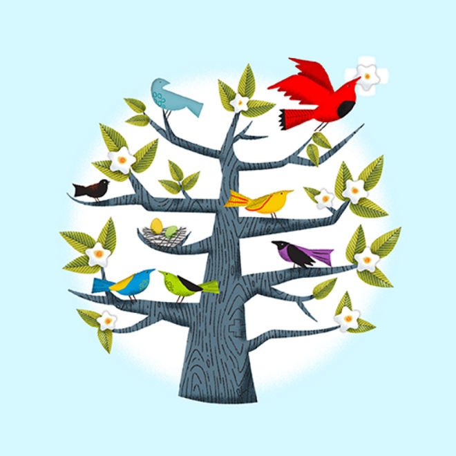 A human-centered vision for improving the mental health care ecosystem