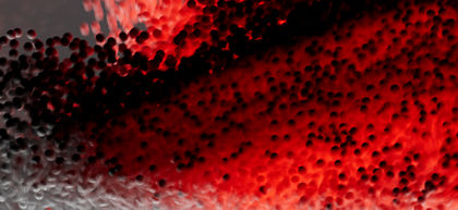 Defending reality: Truth in an age of synthetic media