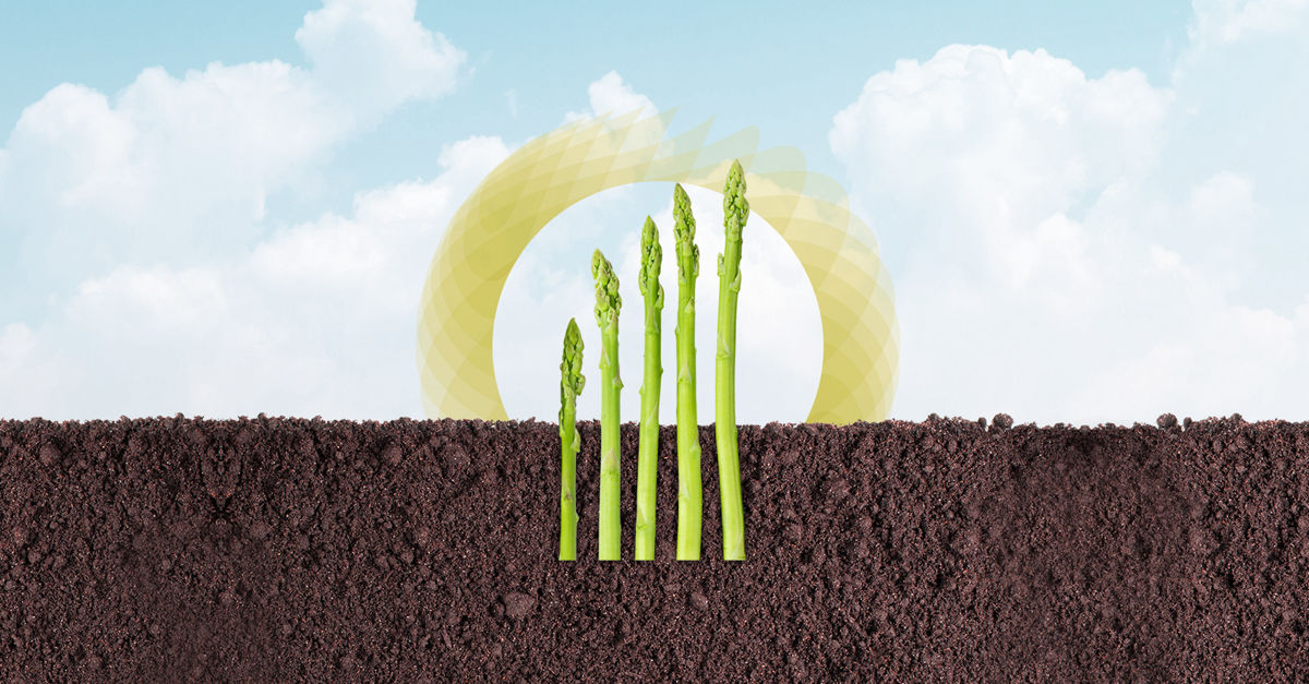 Fresh food, trust, and transparency | Deloitte Insights